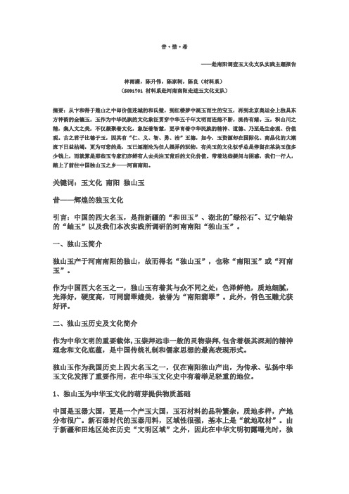 南阳文化实践报告