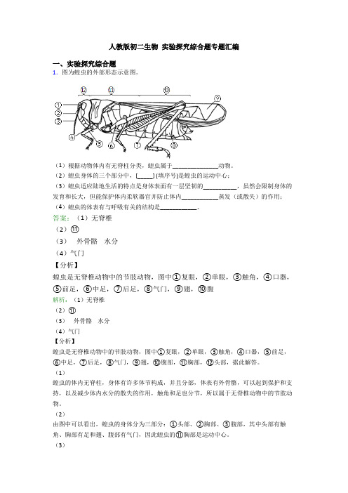 人教版初二生物 实验探究综合题专题汇编