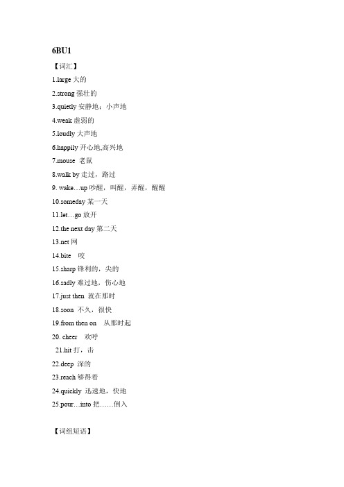 译林版六年级下册英语所有单元复习资料