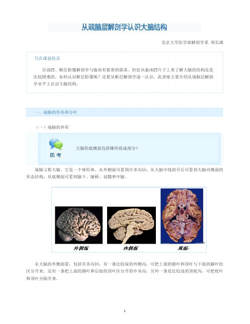 从端脑断层解剖学认识大脑结构