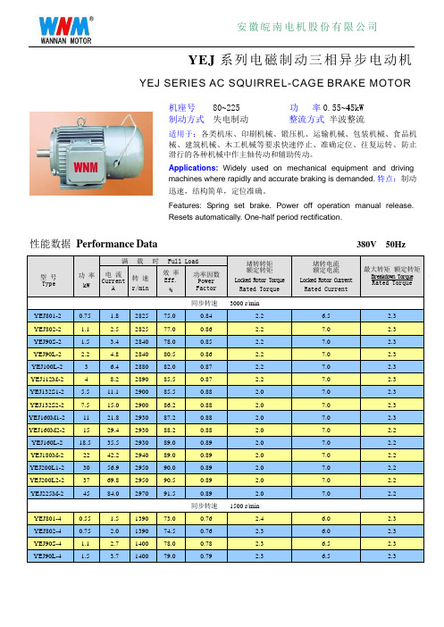 YEJ系列三相异步电动机