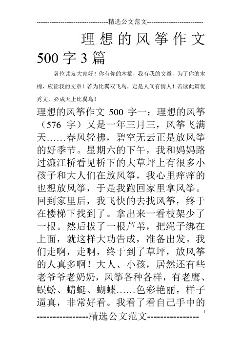 理想的风筝作文500字3篇