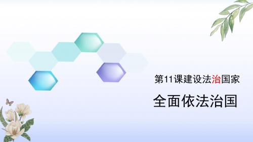 苏人教版九年级下册道德与法治 11.2全面依法治国 课件(11张幻灯片)