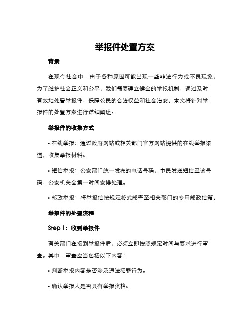 举报件处置方案