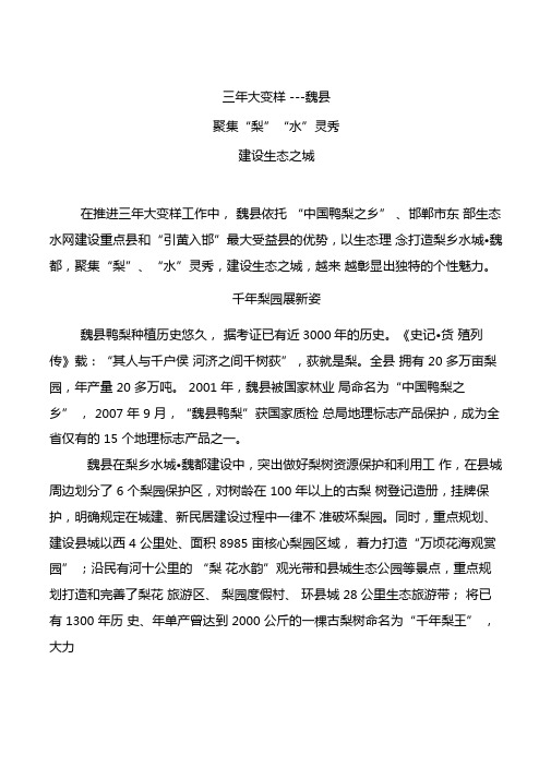 三年大变样---魏