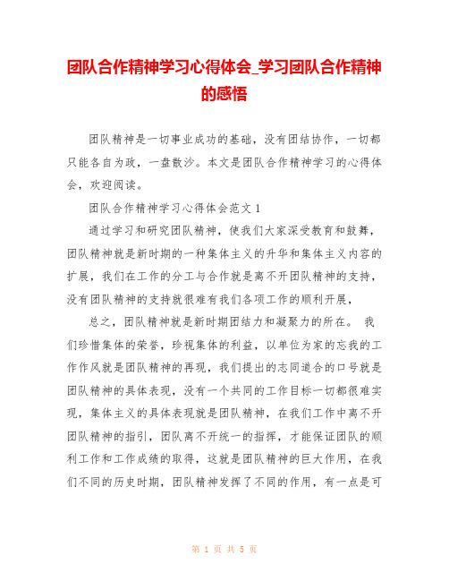 团队合作精神学习心得体会_学习团队合作精神的感悟