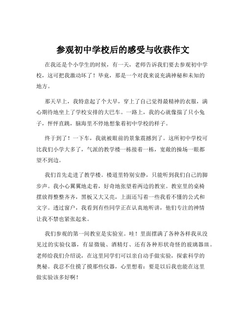 参观初中学校后的感受与收获作文