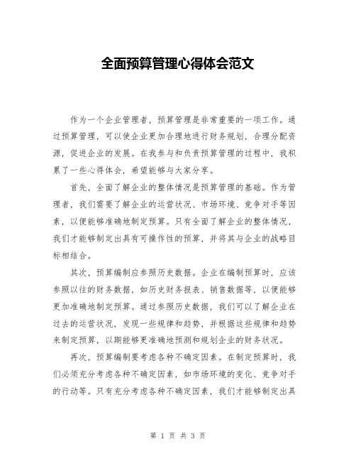 全面预算管理心得体会范文