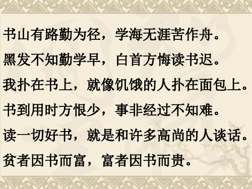 语文人教版五年级下册《小兵张嘎》读书阅读课