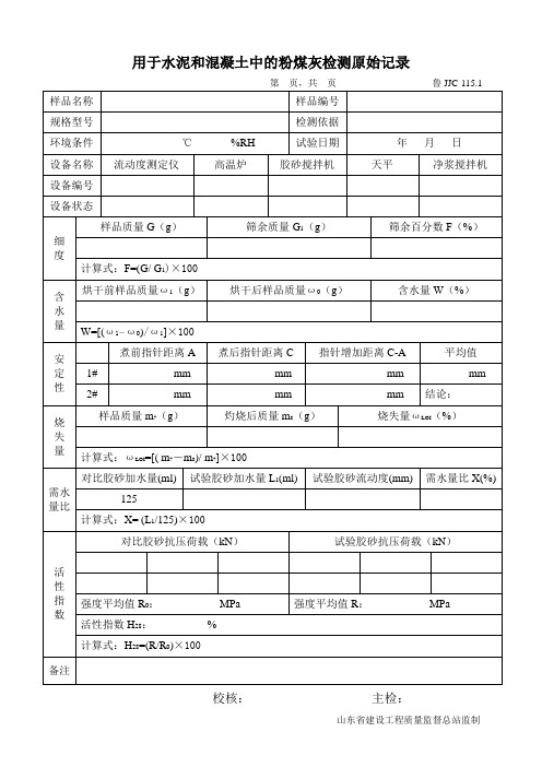 粉煤灰检测原始记录