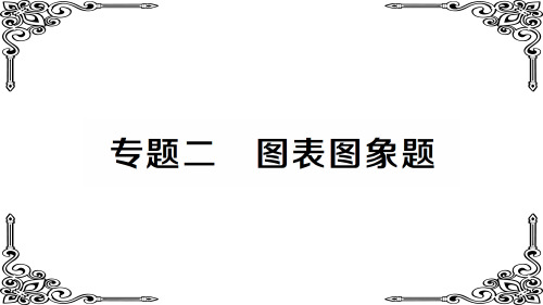 九年级化学下册专题二 图表图象题中考高频考点练课件