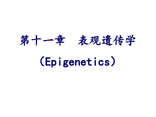 第十一章-表观遗传学PPT课件