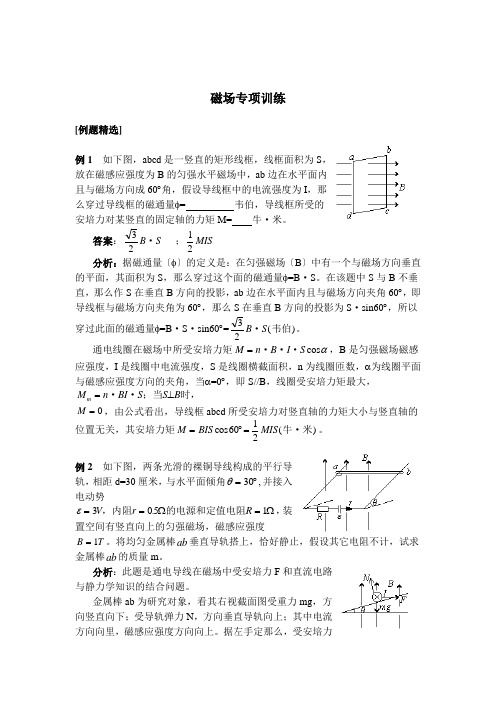 磁场专项训练