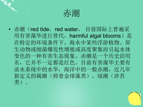 七年级生物上册 第二单元 第一章 第一节 绿色植物的主要类群 第2题答案课件 (新版)济南版