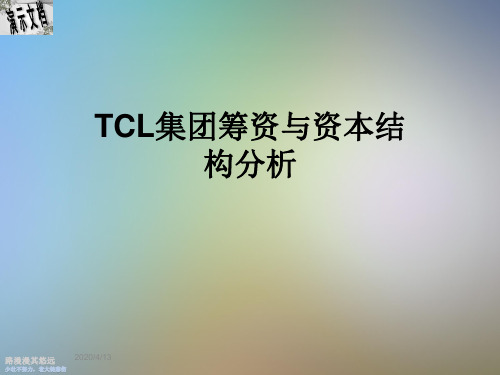 TCL集团筹资与资本结构分析