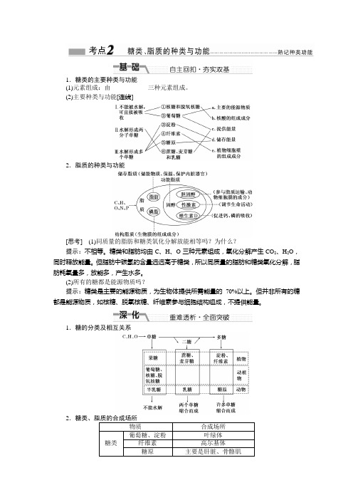 糖类、脂质的种类与功能