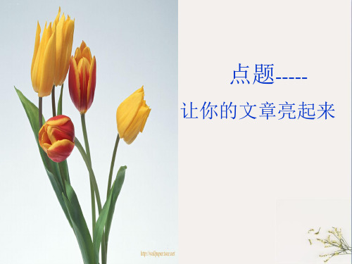 初中作文指导:点题——让你的文章亮起来ppt(完美版)