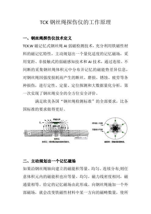 TCK钢丝绳探伤仪的工作原理