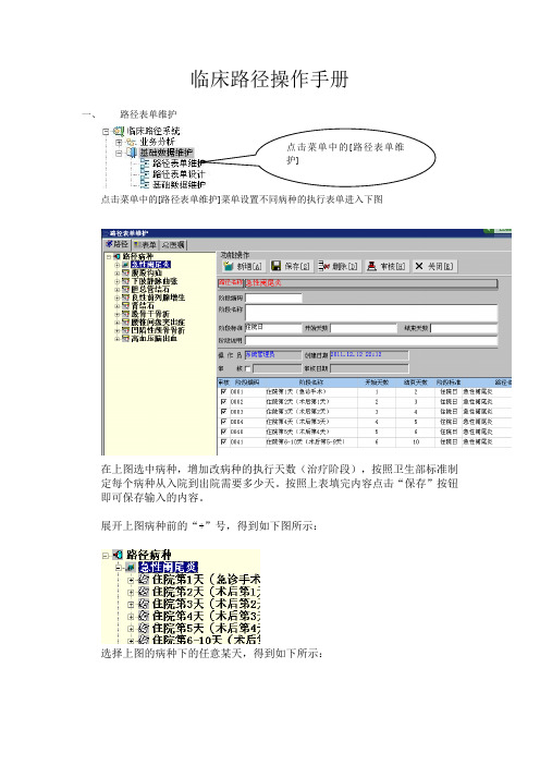 临床路径操作手册