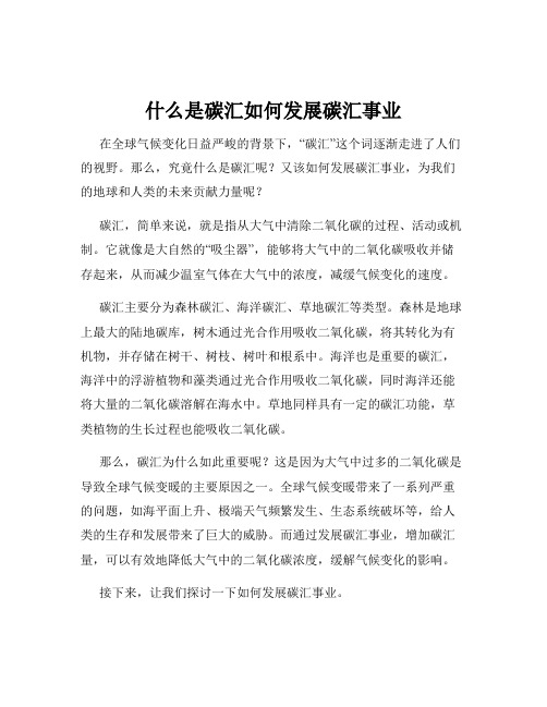 什么是碳汇如何发展碳汇事业