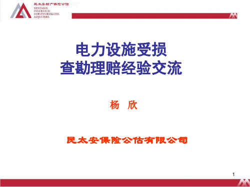 电力保险事故理赔经验交流讲课稿