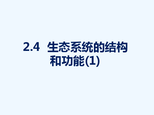 浙教版科学九下2.4《生态系统的结构和功能》ppt课件1