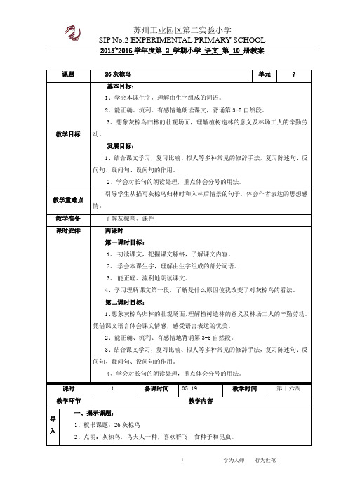 26灰椋鸟