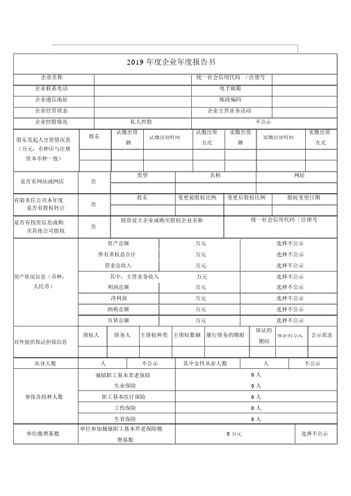 2019企业年度报告书