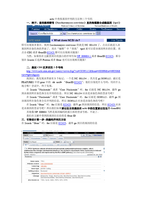 ncbi中查找基因序列的方法和三个登录号