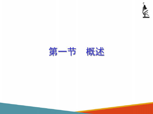 红细胞疾病及其检验—铁代谢障碍性贫血的相关检验(血液学检验课件)