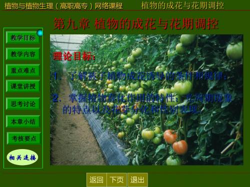 第九章 植物的成花与花期调控-文档资料