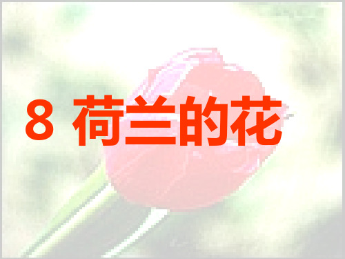 五年级下册语文课件-8 荷兰的花丨沪教版(2015秋)(共19张PPT)