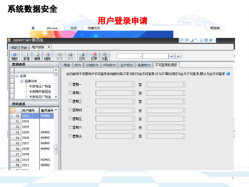 软件系统功能介绍PPT课件