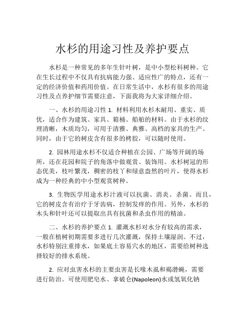 水杉的用途习性及养护要点