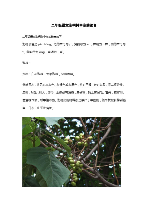 二年级语文泡桐树中泡的读音