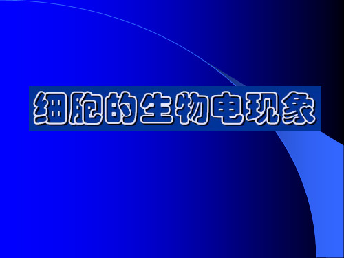 静息电位与动作电位ppt课件