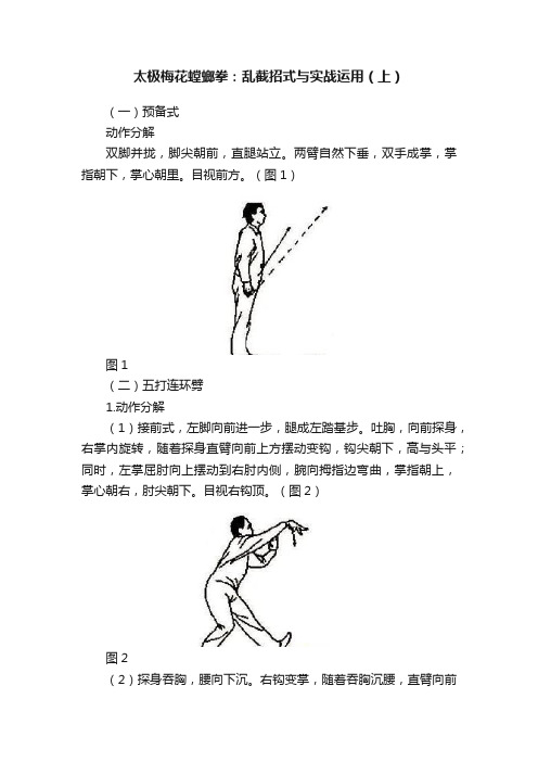 太极梅花螳螂拳：乱截招式与实战运用（上）