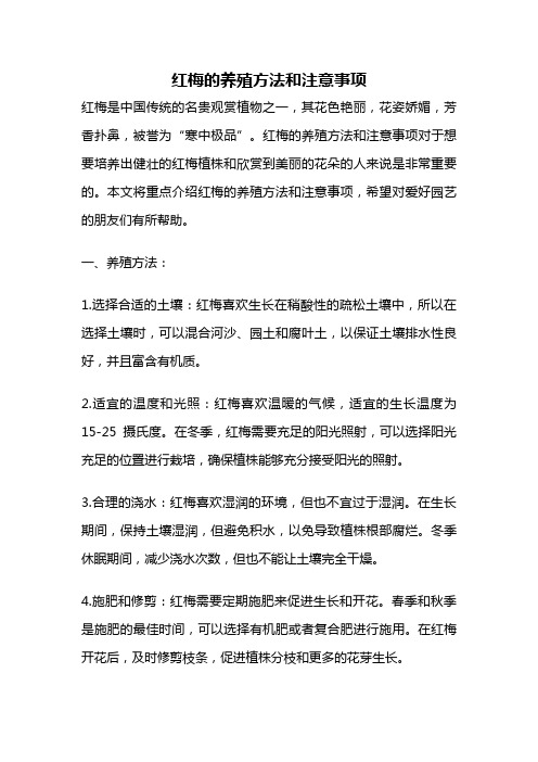 红梅的养殖方法和注意事项