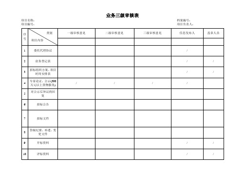 三级审核表