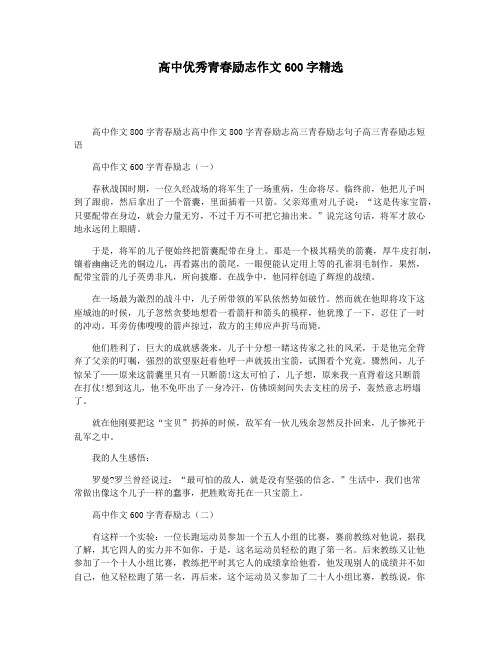 高中优秀青春励志作文600字精选