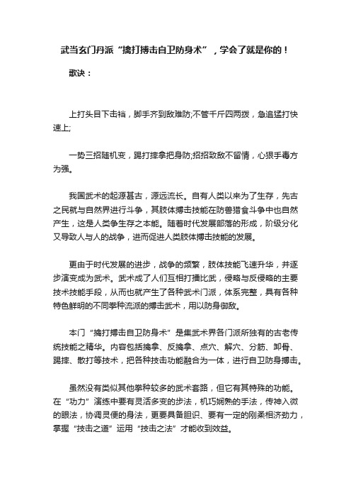 武当玄门丹派“擒打搏击自卫防身术”，学会了就是你的！