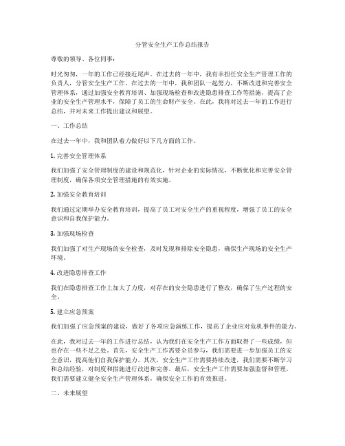 分管安全生产工作总结报告