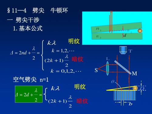 波动光学2