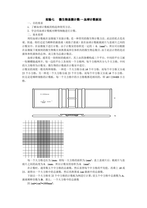 微生物显微计数--血球计数板法