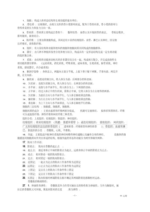 运动解剖学重点-新版.pdf