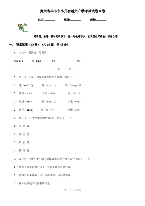 贵州省毕节市小升初语文升学考试试卷B卷