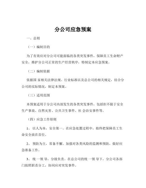 分公司应急预案