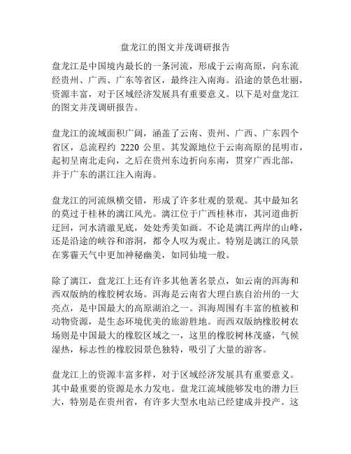 盘龙江的图文并茂调研报告