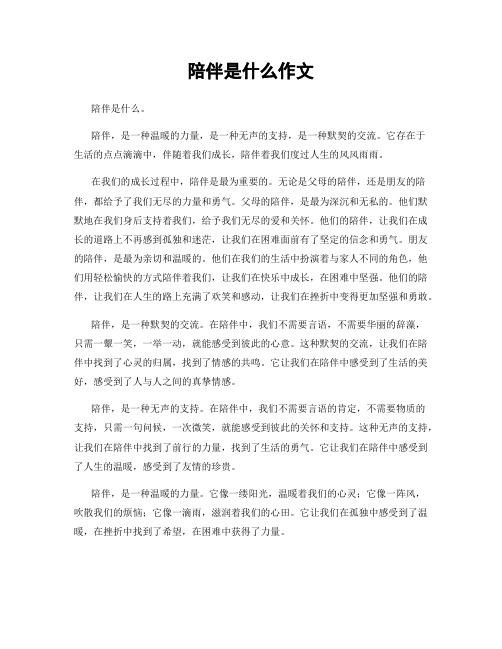 陪伴是什么作文