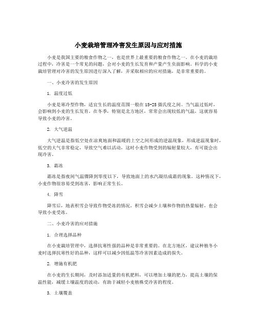 小麦栽培管理冷害发生原因与应对措施